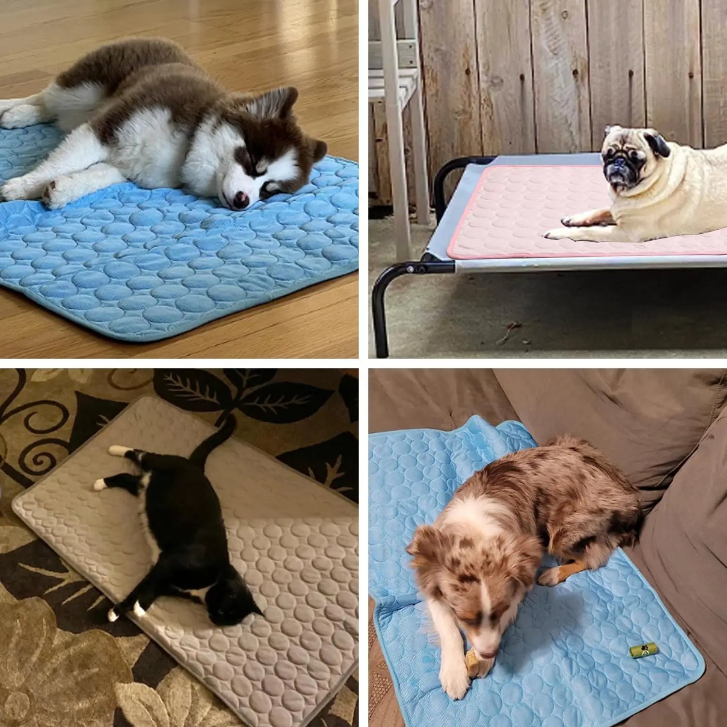 Sommer Hund Kühl Matte & Isomatte Wieder Verwendbar Wasch Bar & Tragbar Extra Groß Für Kleine Große Hunde Haustier Urin Matte Hund Autos Itz Bezug